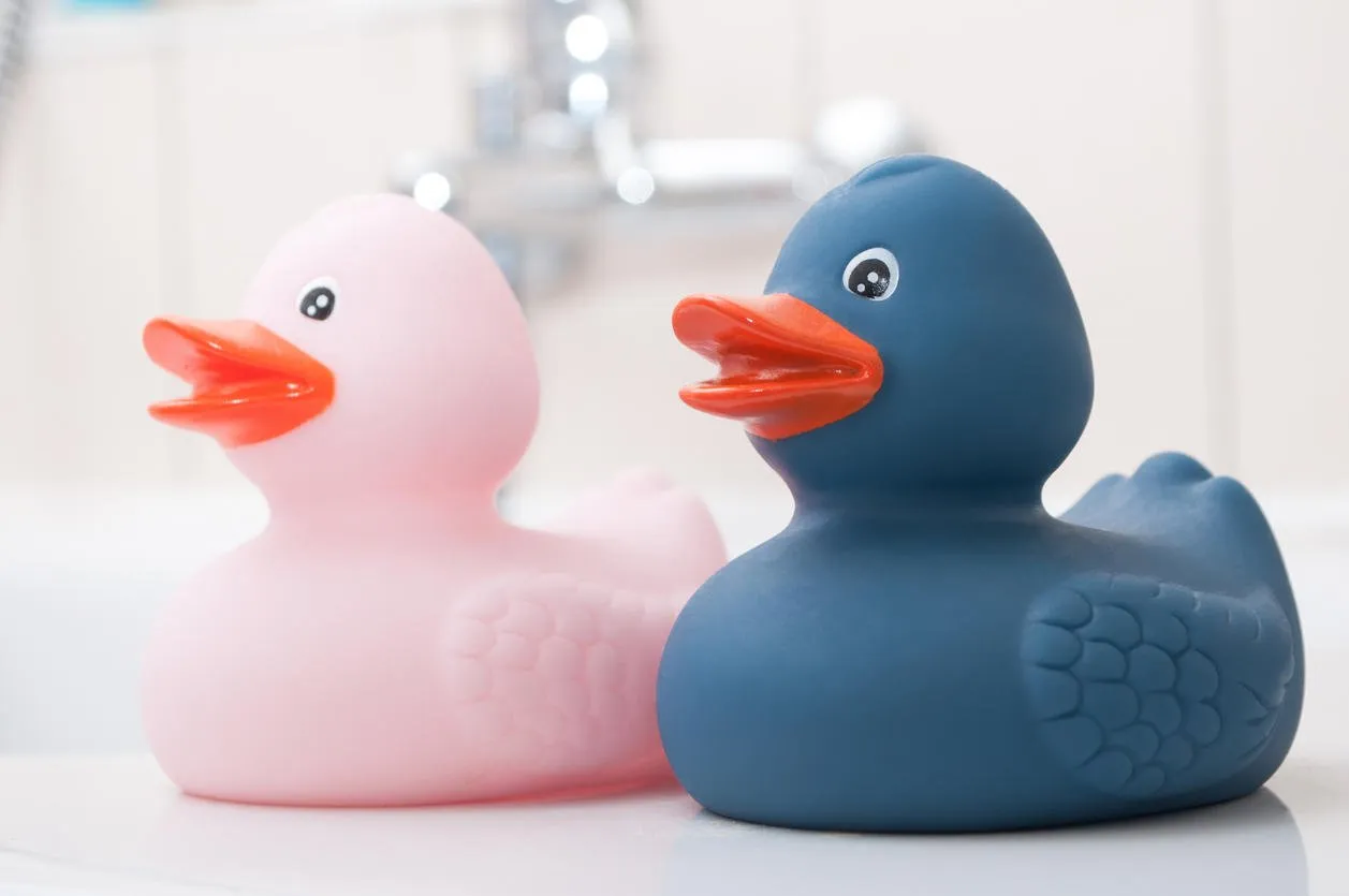 closeup of blue and pink rubber duck toys couple on bath