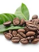 grains de café et feuilles