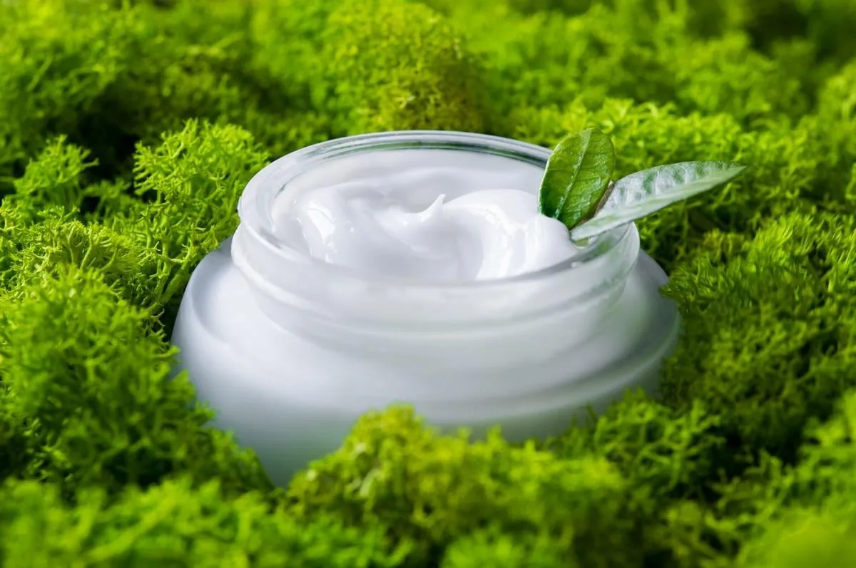 close up of facial moisturizer in the middle of the green moss detail of glass jar of bio moisturizer with little leaves on moss organic lotion for skincare treatment natural beauty and skin care concept