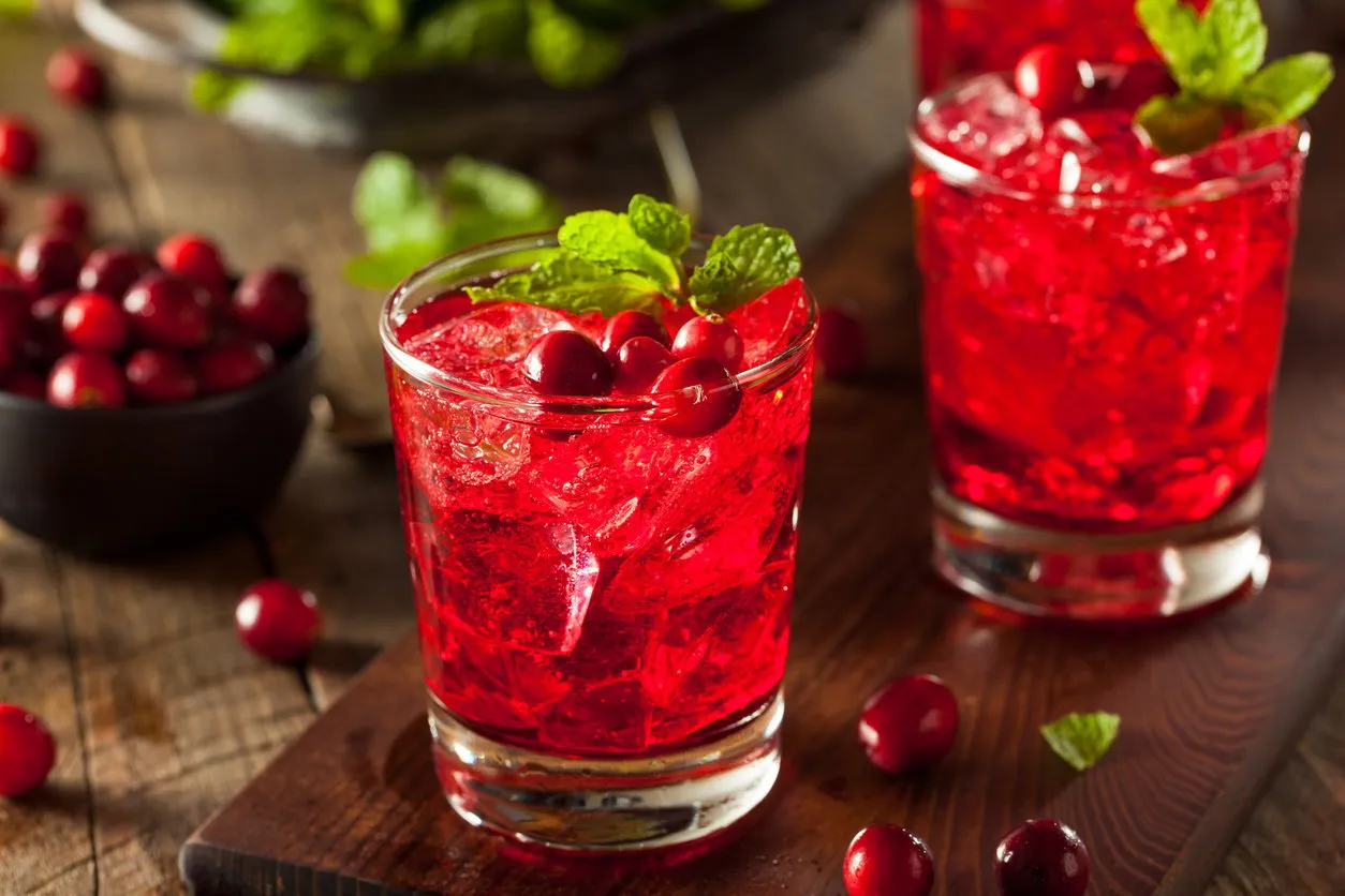 homemade boozy cranberry cocktail with vodka and mint