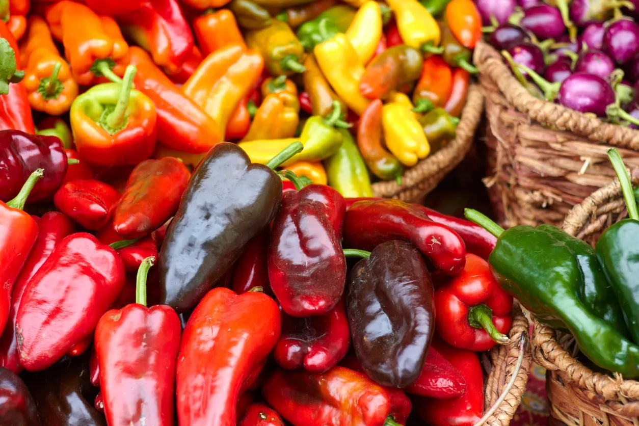chilli peppers kept in abundance for sale at the market horizontal shot