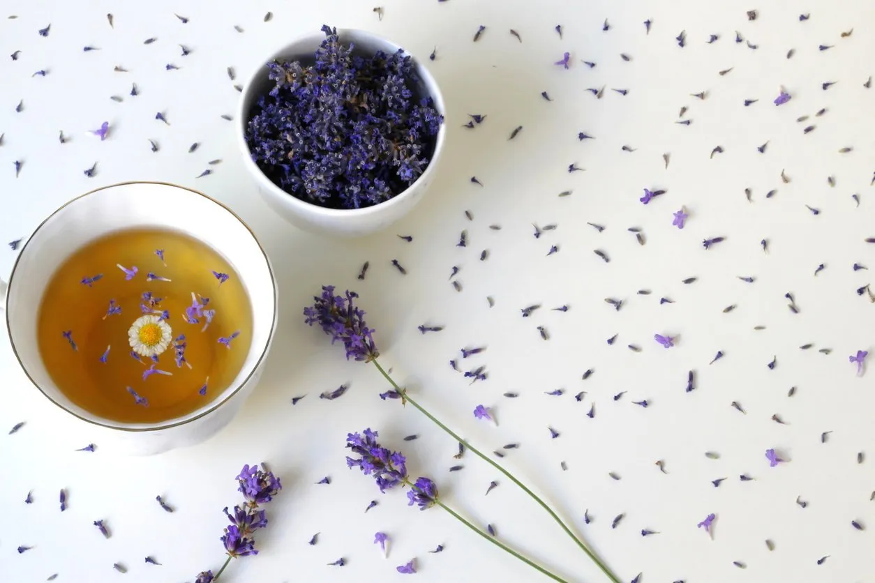 top view of a cup of herbal tea decorated with fresh and dried lavender and camomile flower on a white background