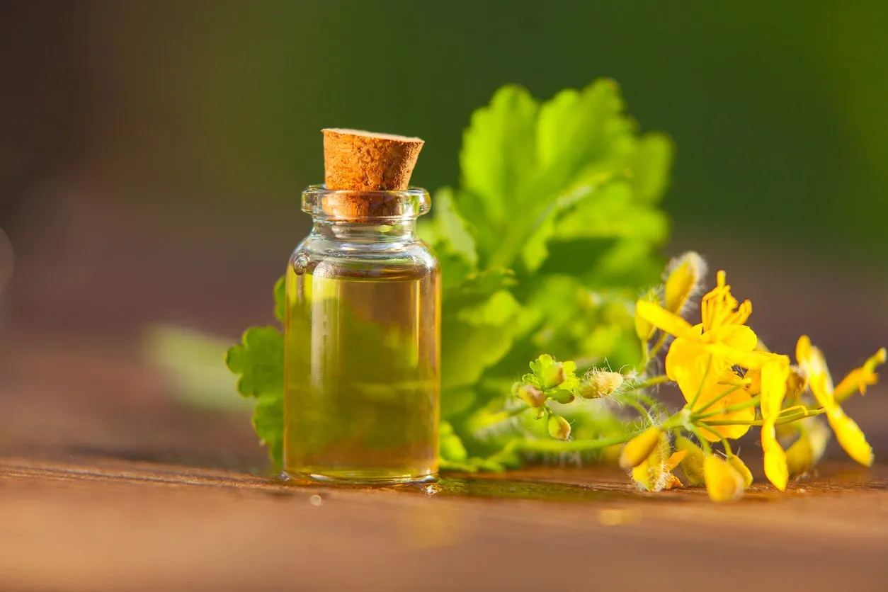 essence of flowers on a table in a beautiful glass jar
