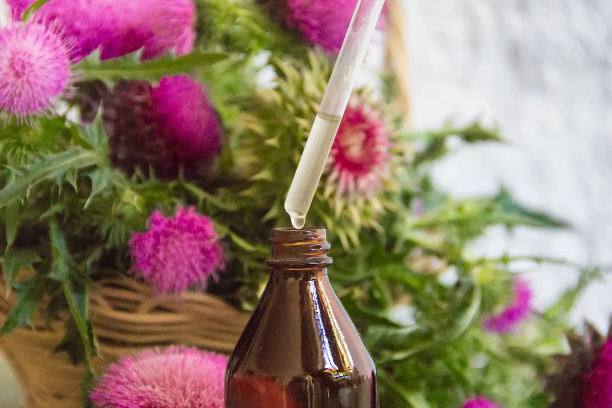 health concept with essential oils of thistle for alternative medicinal use