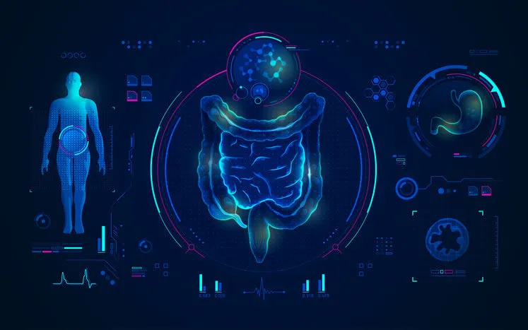 concept of medical technology, graphic of intestine and stomach in x-ray theme