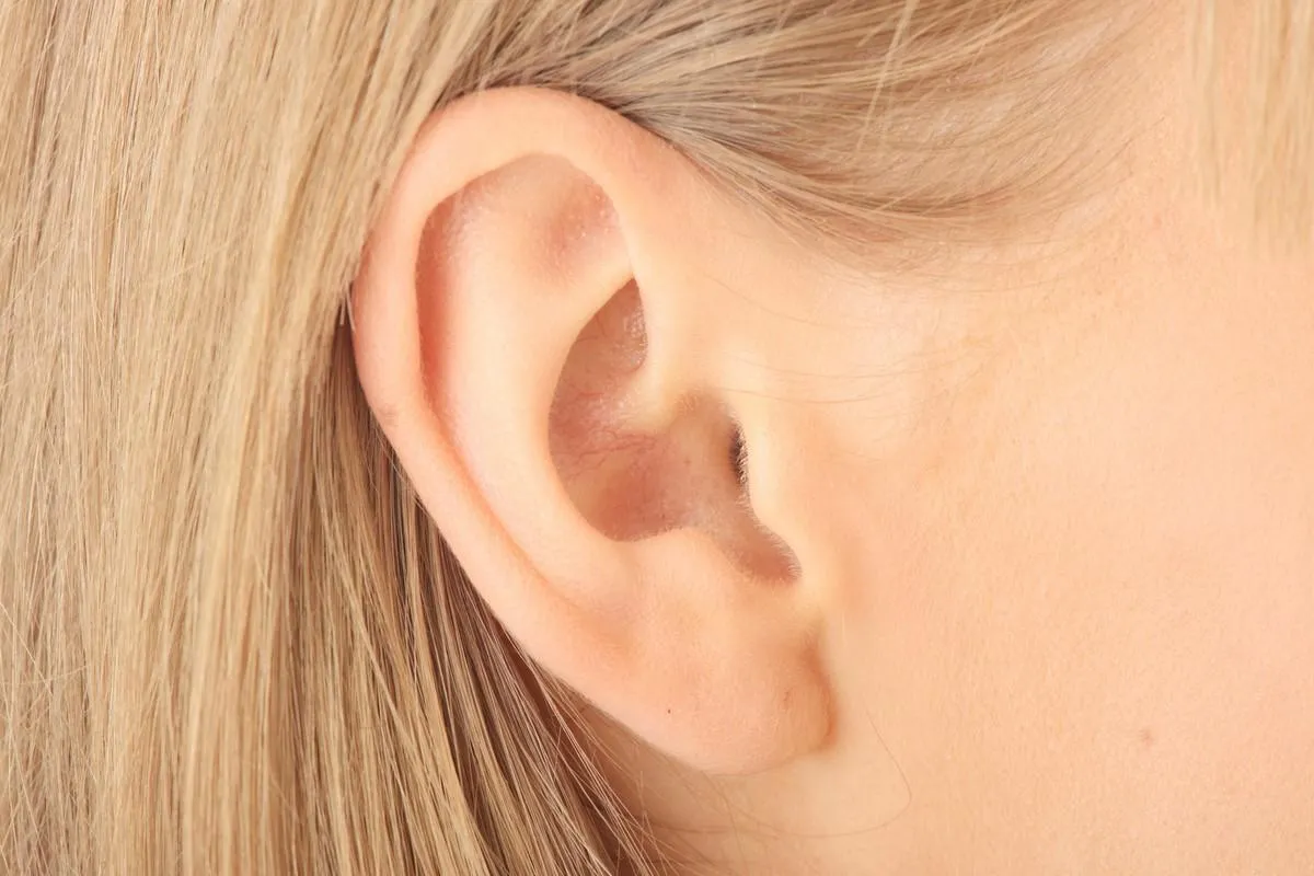 color closeup picture of blond girl ear