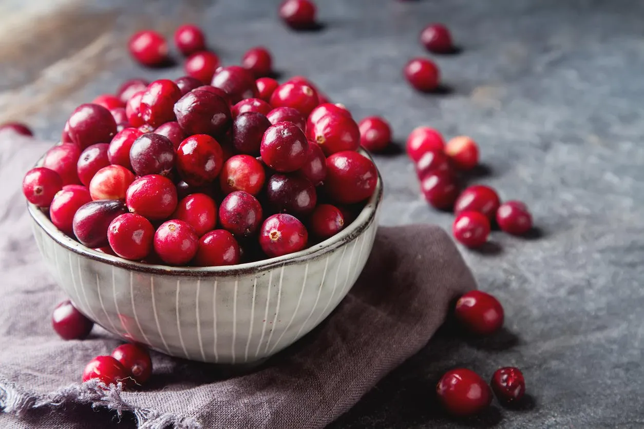 red berries on a dark background cranberries in a bowl
