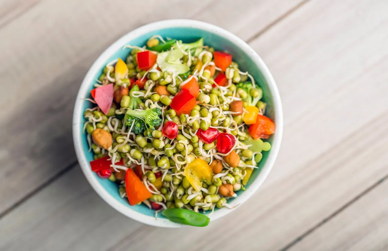 sprouted lentil salad served in a bowl for lunch