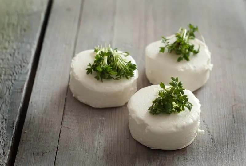 frisch auf dem tisch