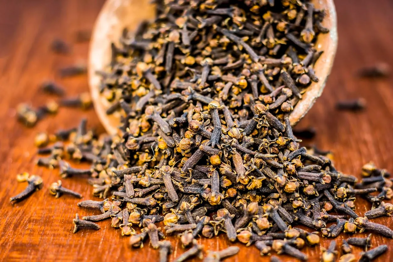 raw organic cloves,syzygium aromaticum in a clay bowl on the wooden surface