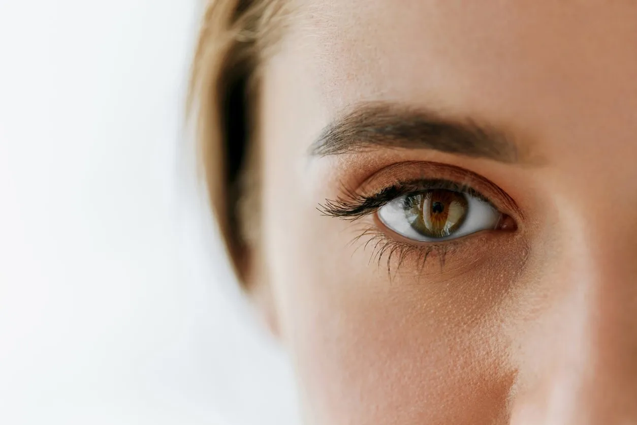 eye health and care closeup of beautiful woman big brown eye and eyebrow girl eye smooth healthy skin and perfect natural makeup on white background high resolution image