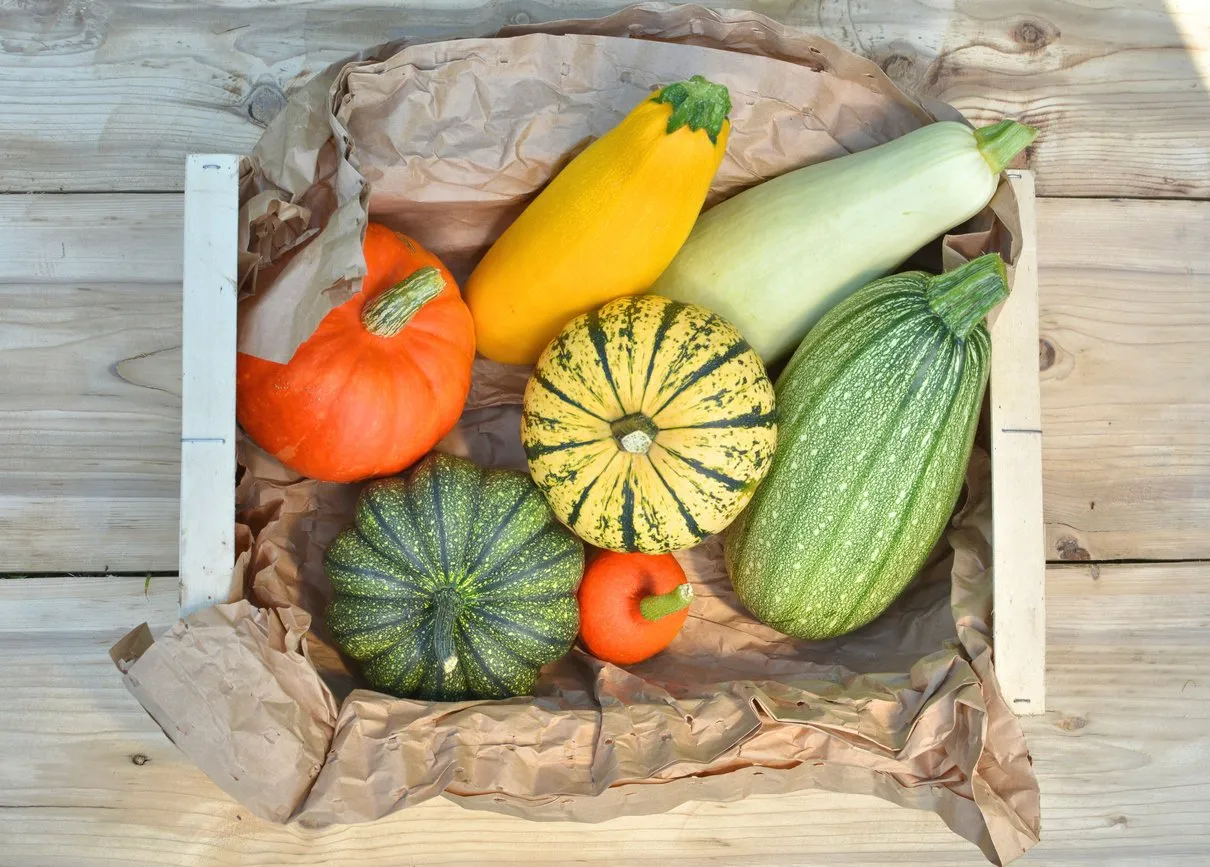 box with fresh pumpkins and squash vegetables harvest on wooden background top view