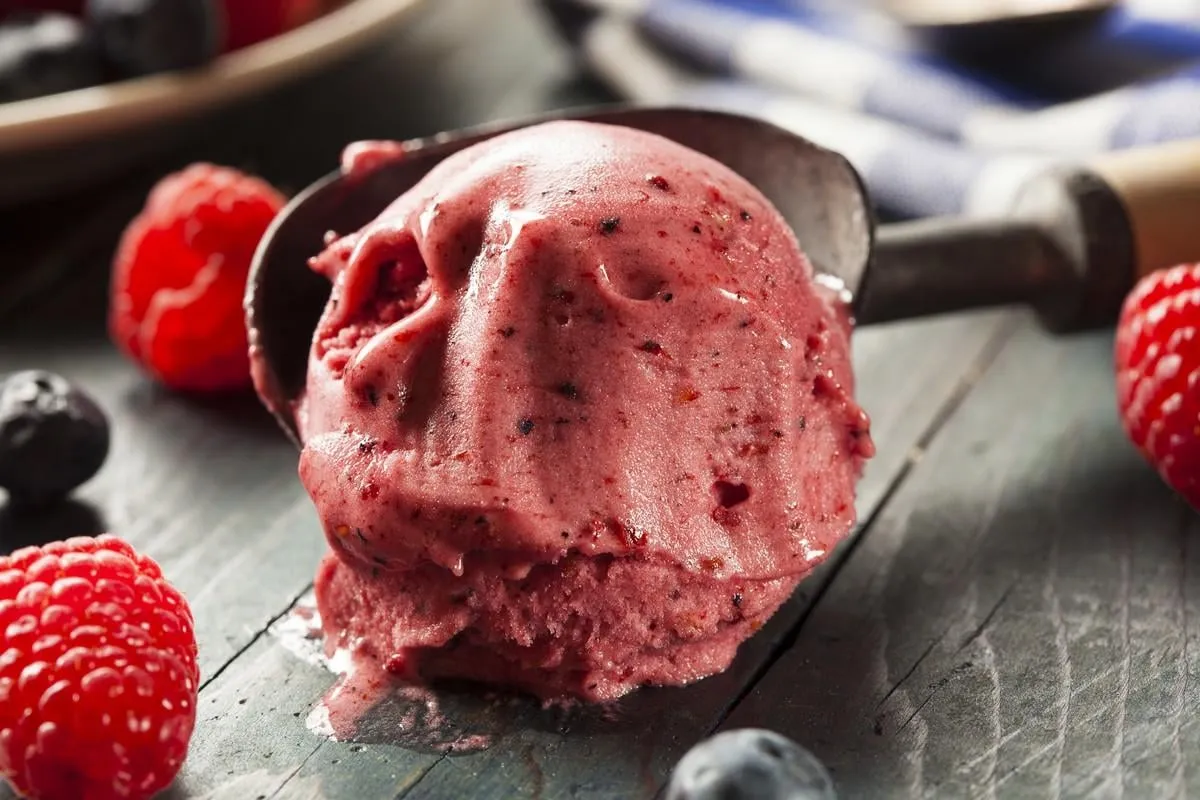 homemade organic berry sorbet ice cream ready to eat