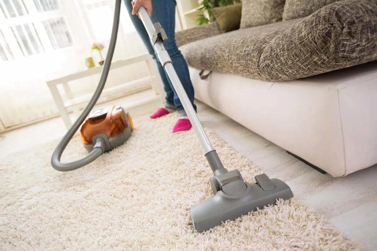 tapis de nettoyage avec aspirateur dans le salon