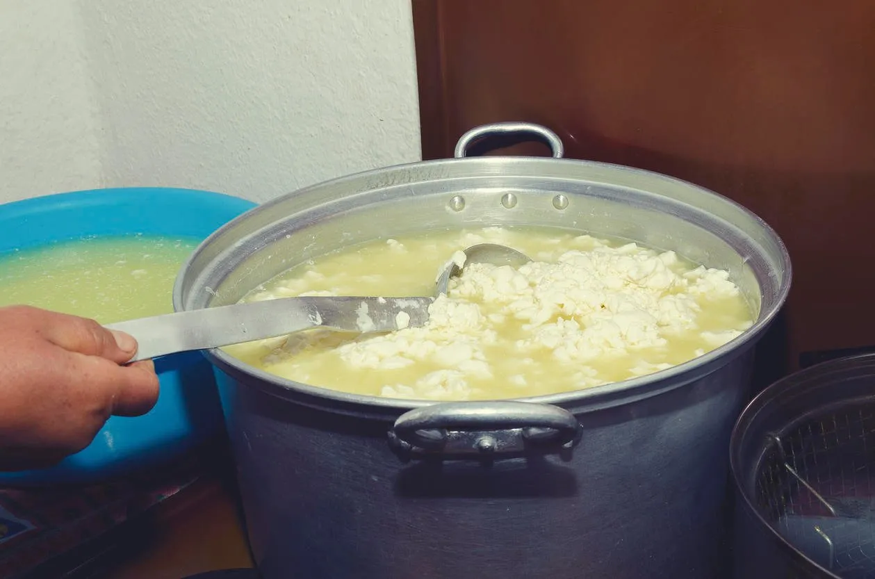 fabrication de fromage traditionnel à lepushe albania