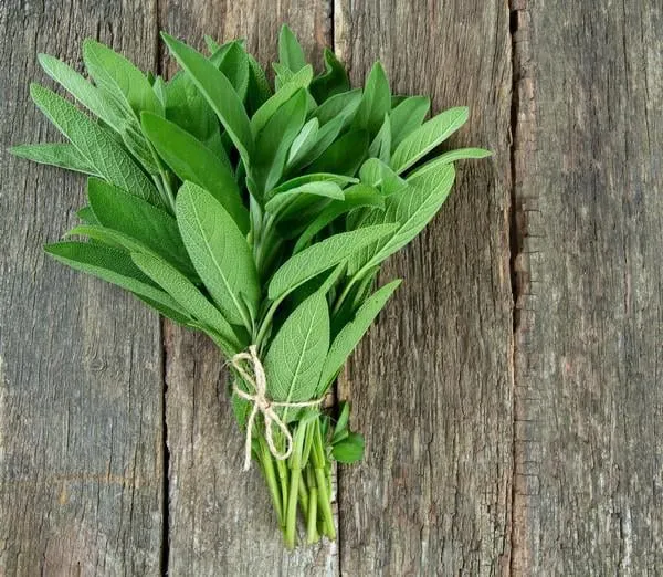 sauge sur la surface en bois