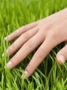 femme avec de l'herbe