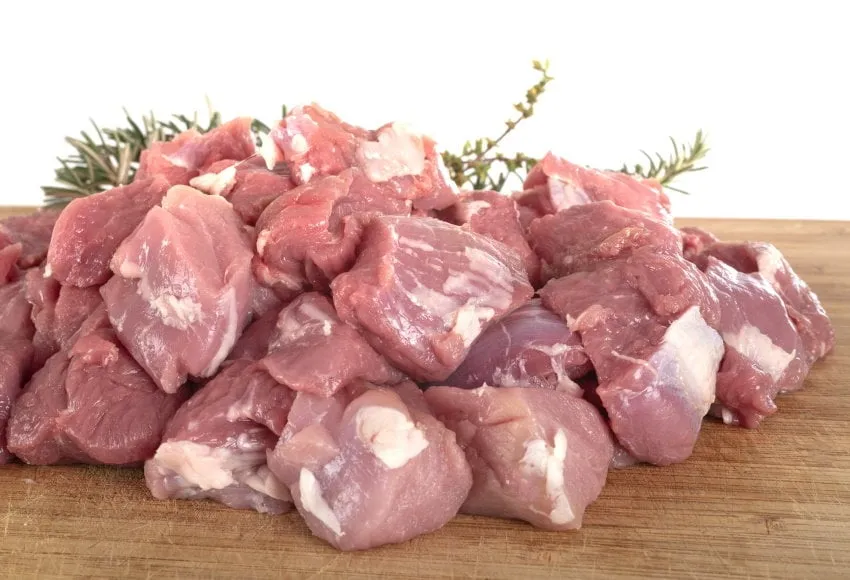 lamb saute in front of white background