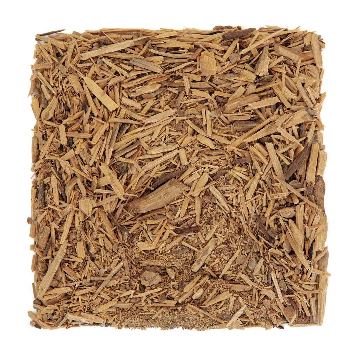 muira puama herb used in alternativel herbal medicine over white background used also as an aphrodisiac ptychopetalum olacoides