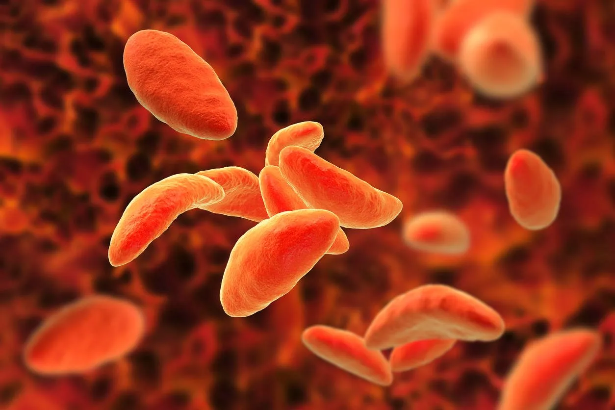 parasitic protozoans toxoplasma gondii which cause toxoplasmosis in tachyzoite stage, 3d illustration