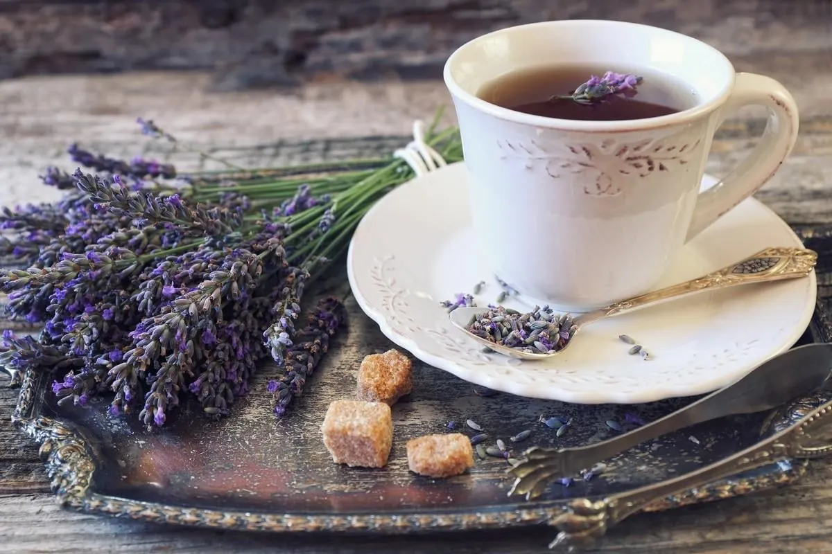 Аromatic lavender tea and bunch of lavender toned image