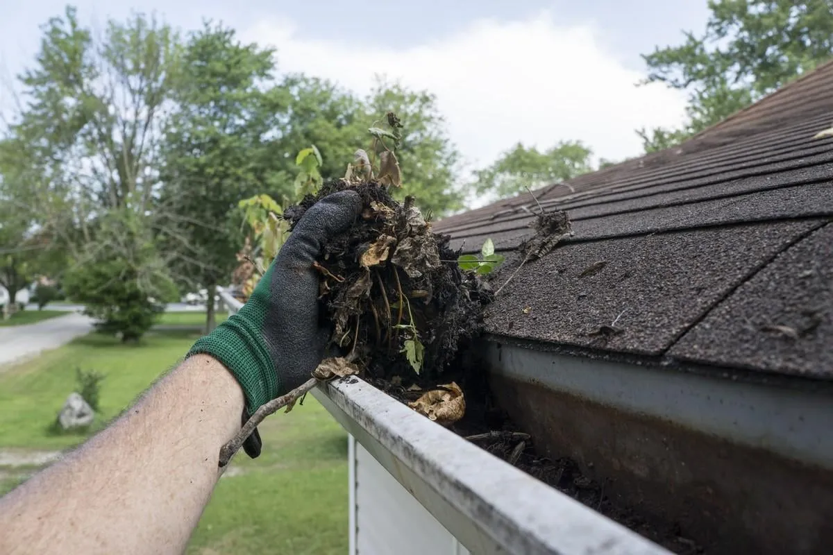 cleaning gutters filled with leaves and sticks