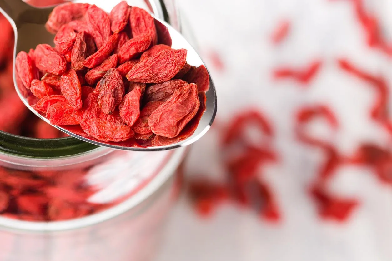 a spoon full of healthy super food goji berries or wolfberries on a full jar