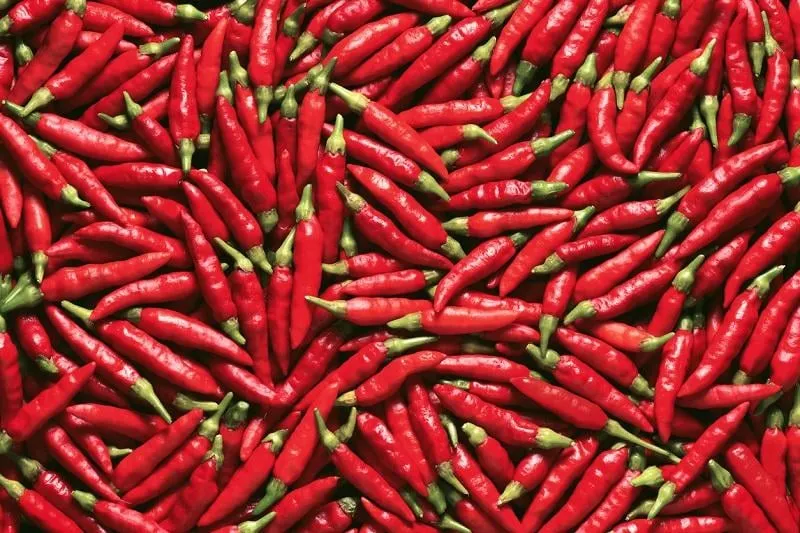 image for use as background full of red pepper