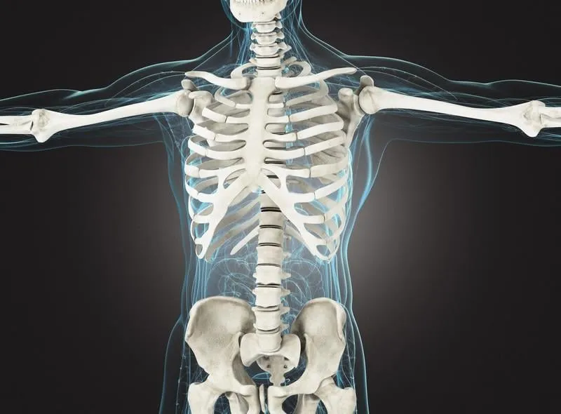 radiographie du squelette ou de l'os