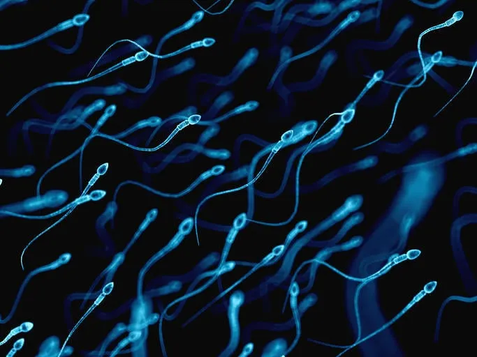 illustration médicalement exacte des spermatozoïdes humains