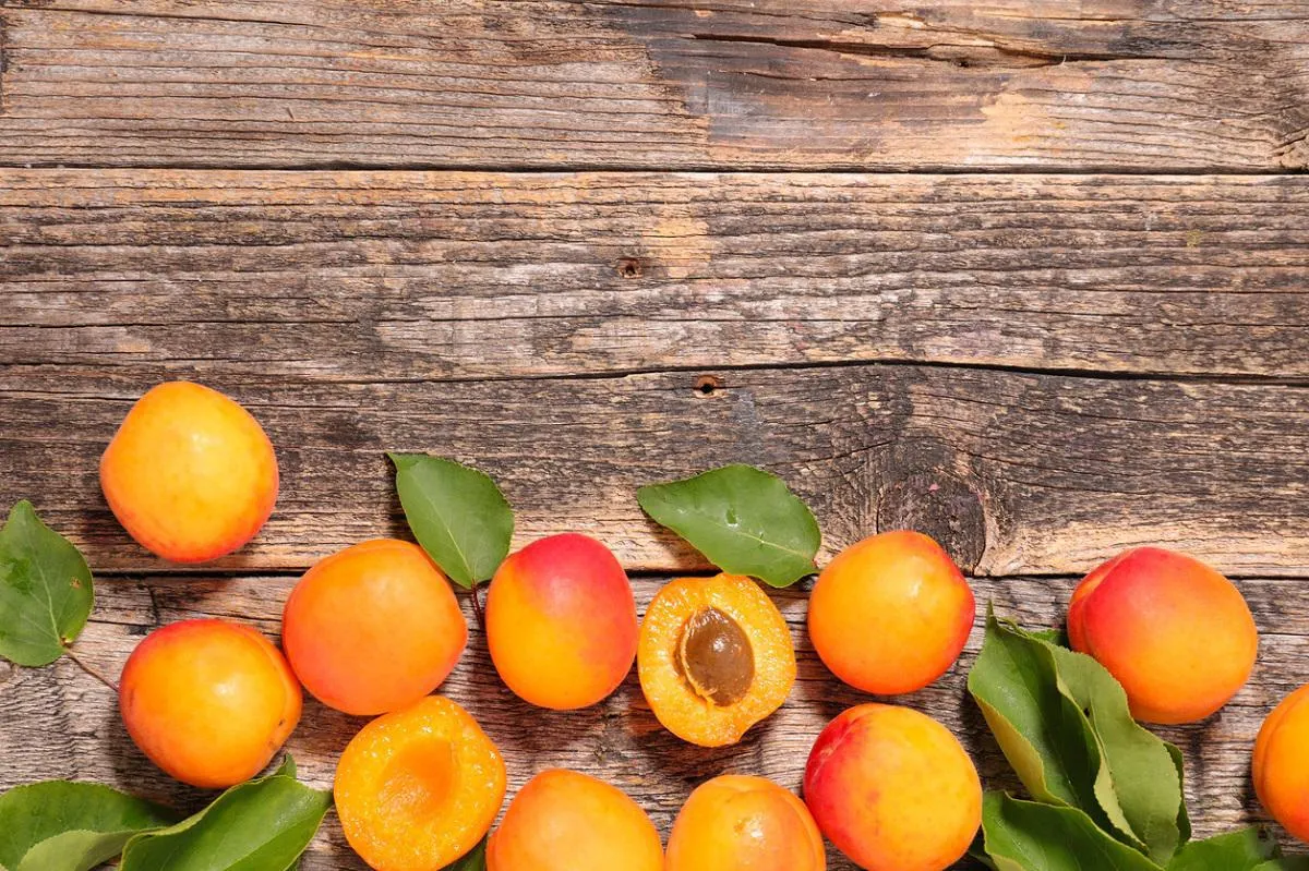 abricot frais