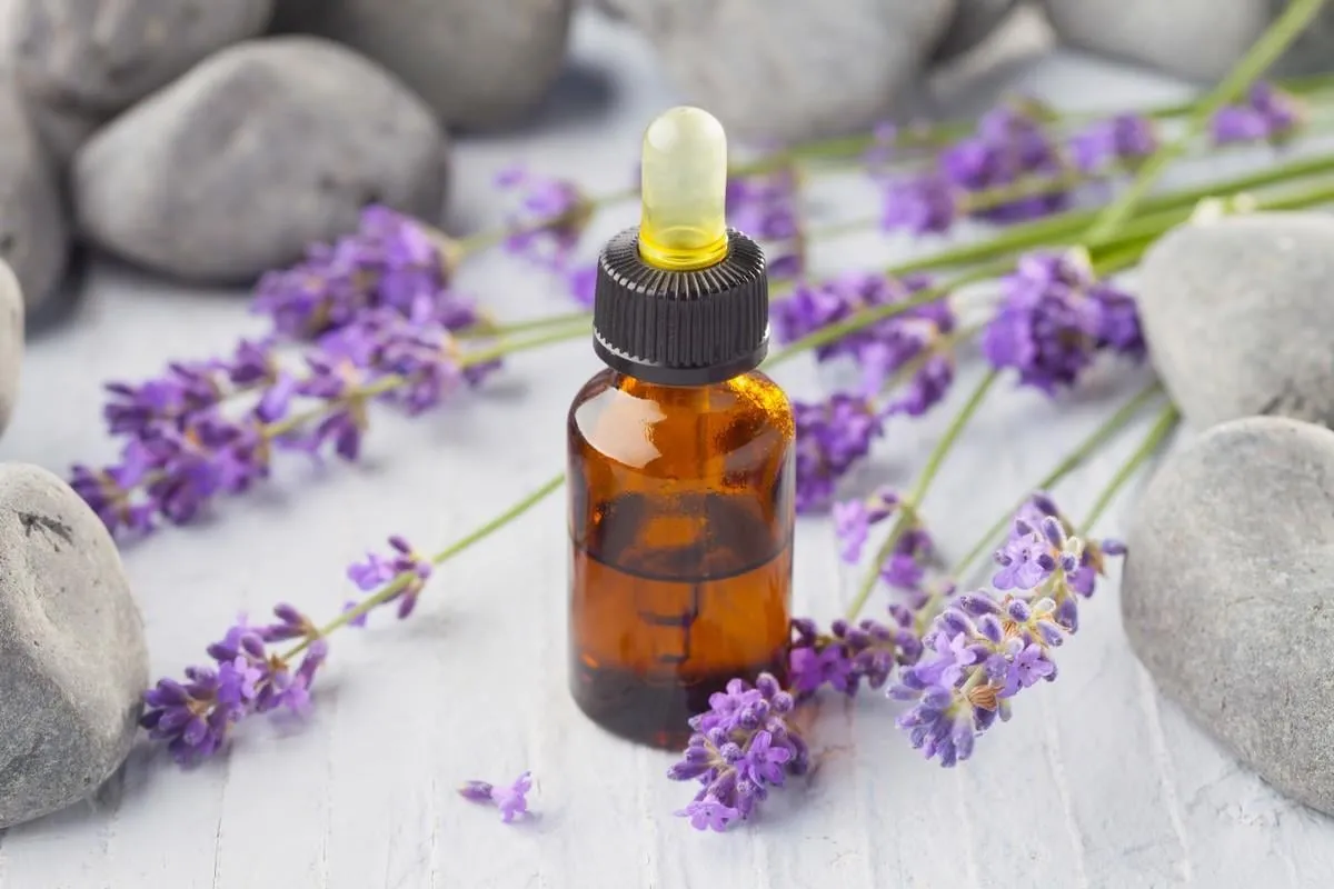 bottle of lavender massage oil - beauty treatment