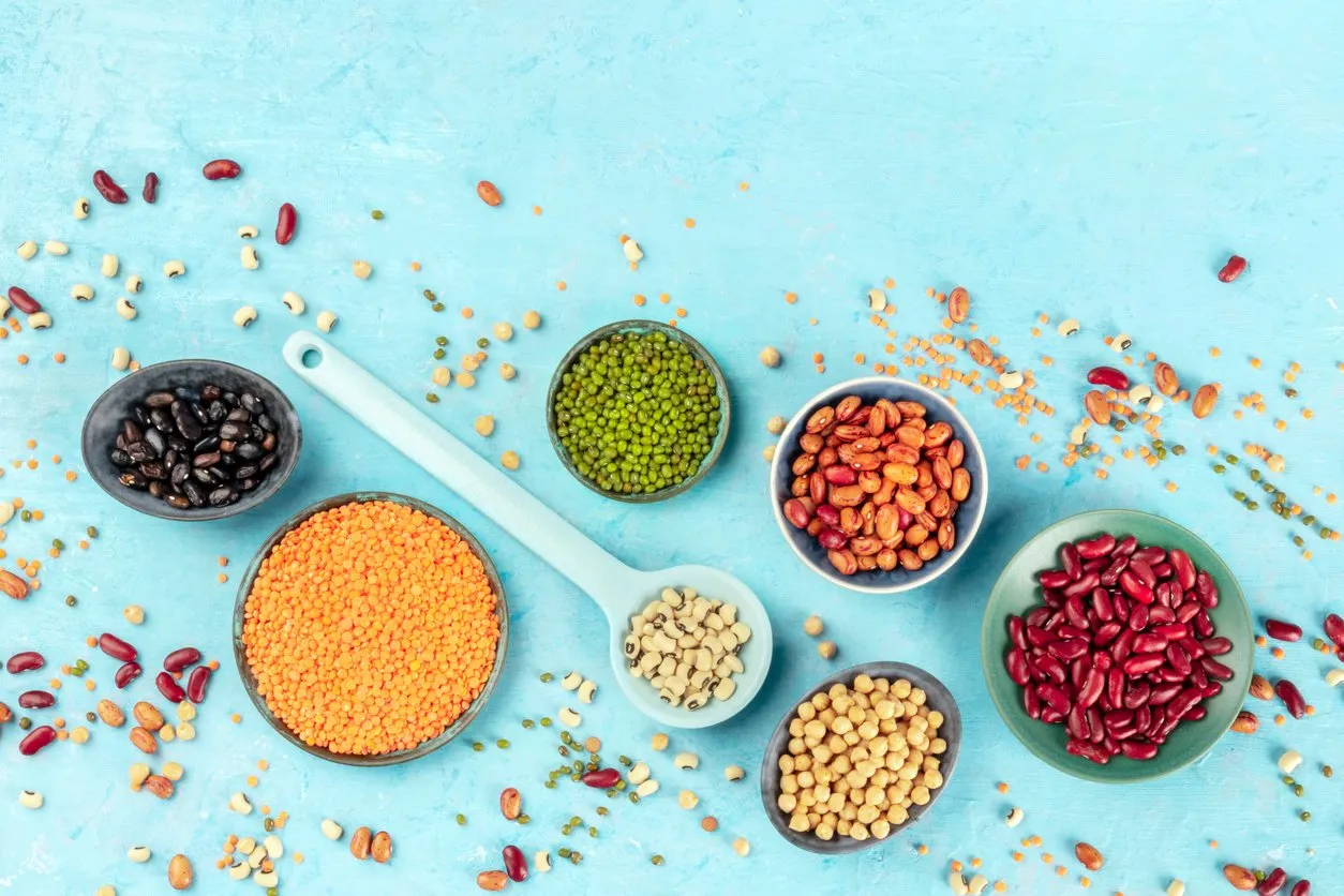 legumes assortment various pulses, shot from the top on a blue background with copyspace black and red beans, lentils, chickpeas, soybeans, a flatlay with a place for text