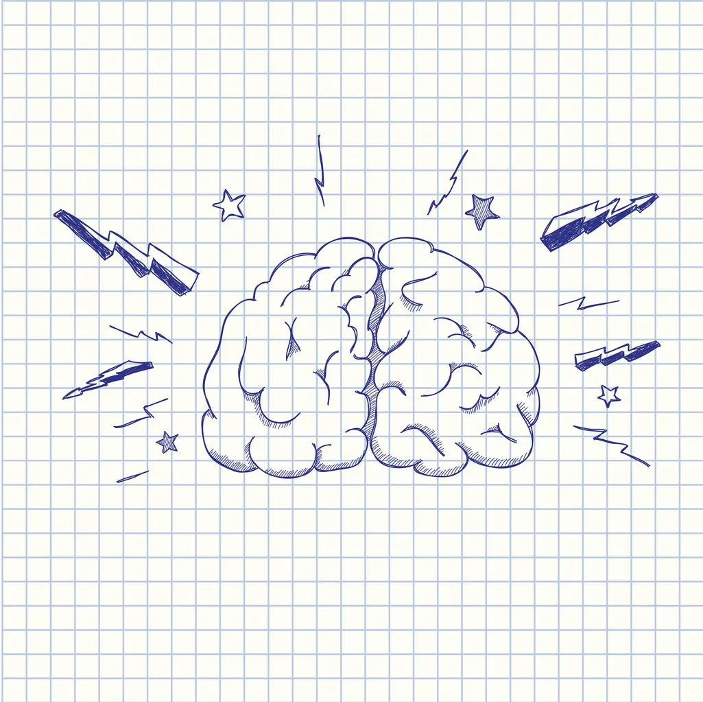 vector illustration of a human brain