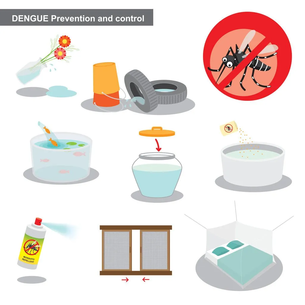how to prevent dengue and control number of mosquitos