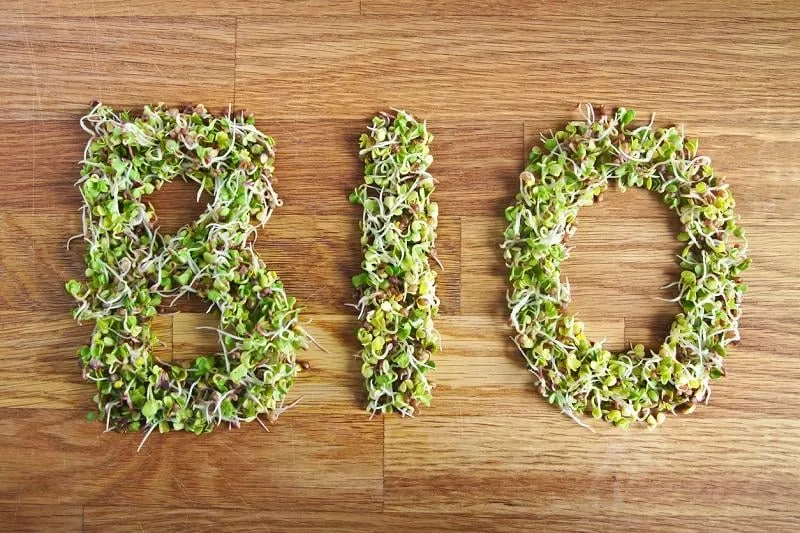 bio word made of green organic sprouts