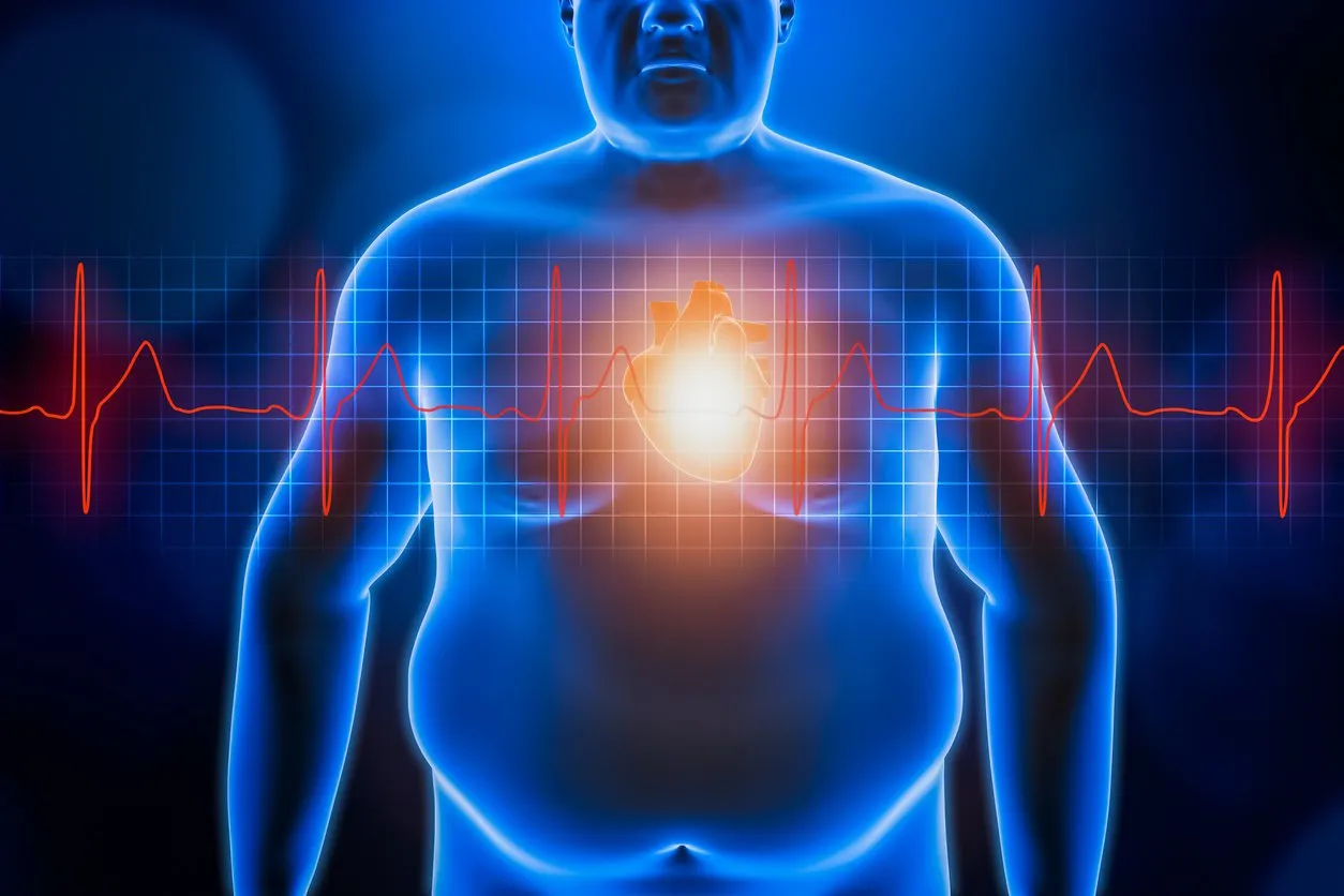 fat or obese man chest body with heart and red ekg heartbeat curve blue futuristic hologram 3d rendering illustration obesity, healthcare, medical, wellness, heart disease concepts