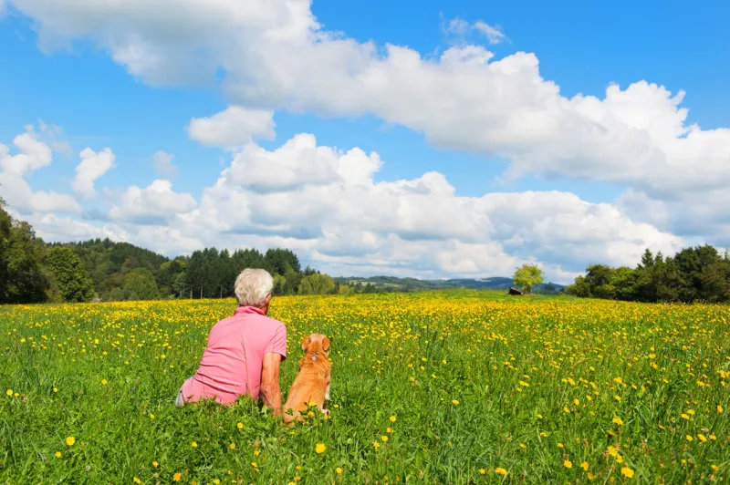 senior man sitting with dog in rural agricultural landscape