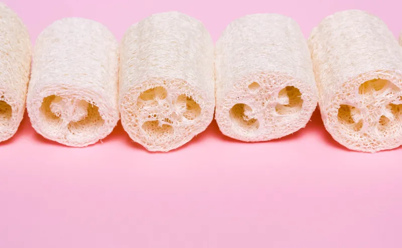 loofah on a pink background organic natural sponge zero waste, environmental protection