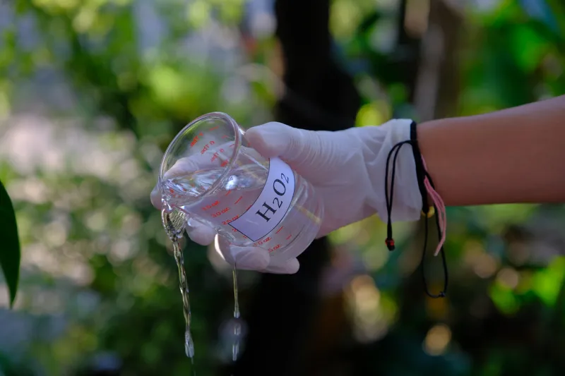 hydrogen peroxide solution in a beaker