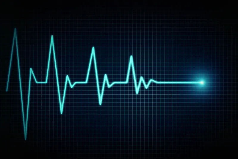 heart beat line end of life