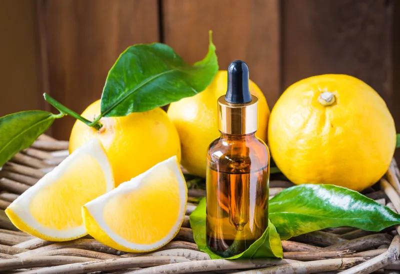 bergamot citrus essential oil, aromatherapy oil natural organic cosmetic on rustic wood backgrounditalian calabrian bergamot citrus fruit essential oil