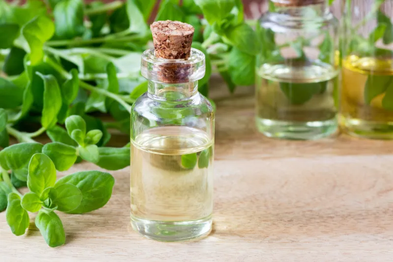 a bottle of essential oil with fresh marjoram twigs