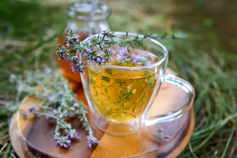 tea with wild thyme outdoors