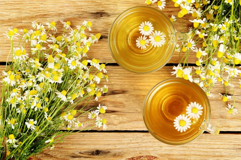 cups of chamomile tea with chamomile flowers on wooden planks