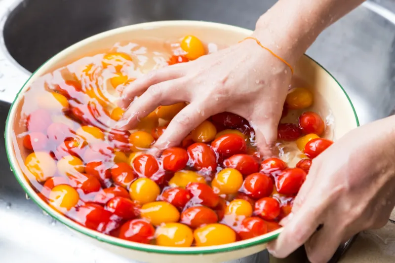 hand washing cherry tomato with running water in household sink to rid off pesticides