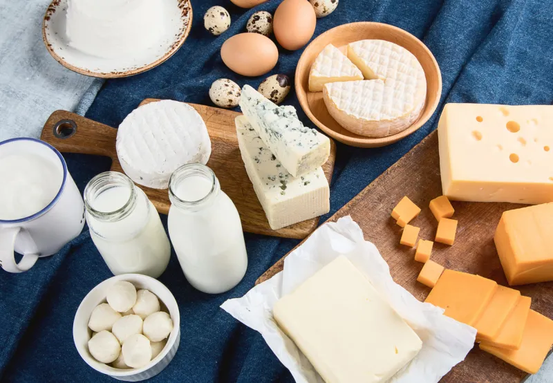 different types of dairy products and eggs