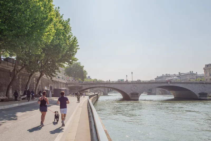 paris   france - may 19, 2018  a couple goes for a run with their adorable black lab dog on the quay along the seine river in the heart of paris