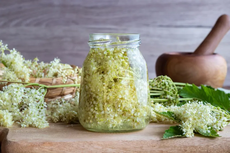 preparation of homemade tincture from meadowsweet blossoms and alcohol