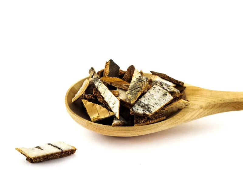birch bark in wooden spoon on white background